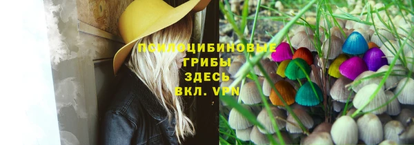 сатива Киреевск