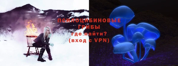 сатива Киреевск