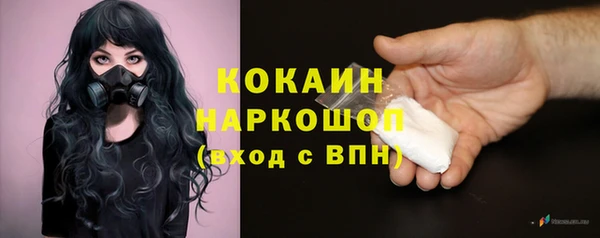 сатива Киреевск