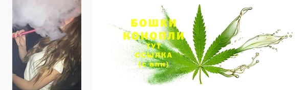 сатива Киреевск