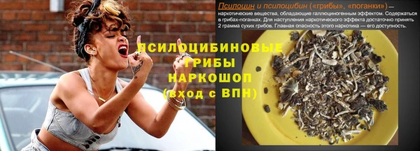 spice Киренск