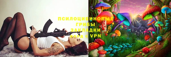 сатива Киреевск